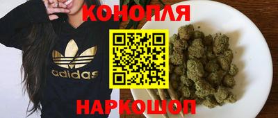 гашик Анжеро-Судженск