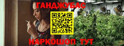 гашик Анжеро-Судженск
