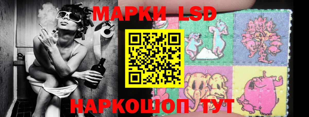 Камышлов  Марки NBOMe 1,8мг  Вход с VPN 