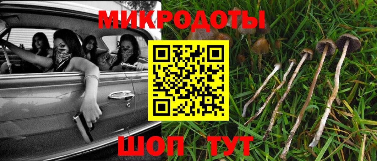 Камышлов  Псилоцибиновые грибы Cubensis  Вход с VPN 